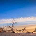 South Xinjiang Tourism