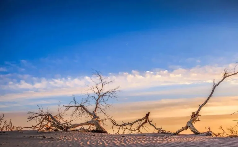 South Xinjiang Tourism