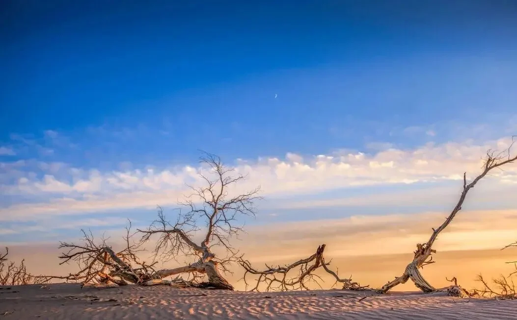 South Xinjiang Tourism