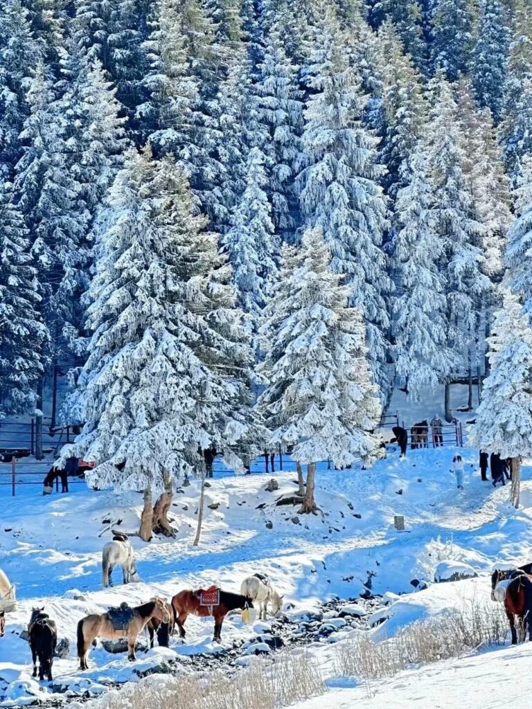 Nanshan Miaogou Valley