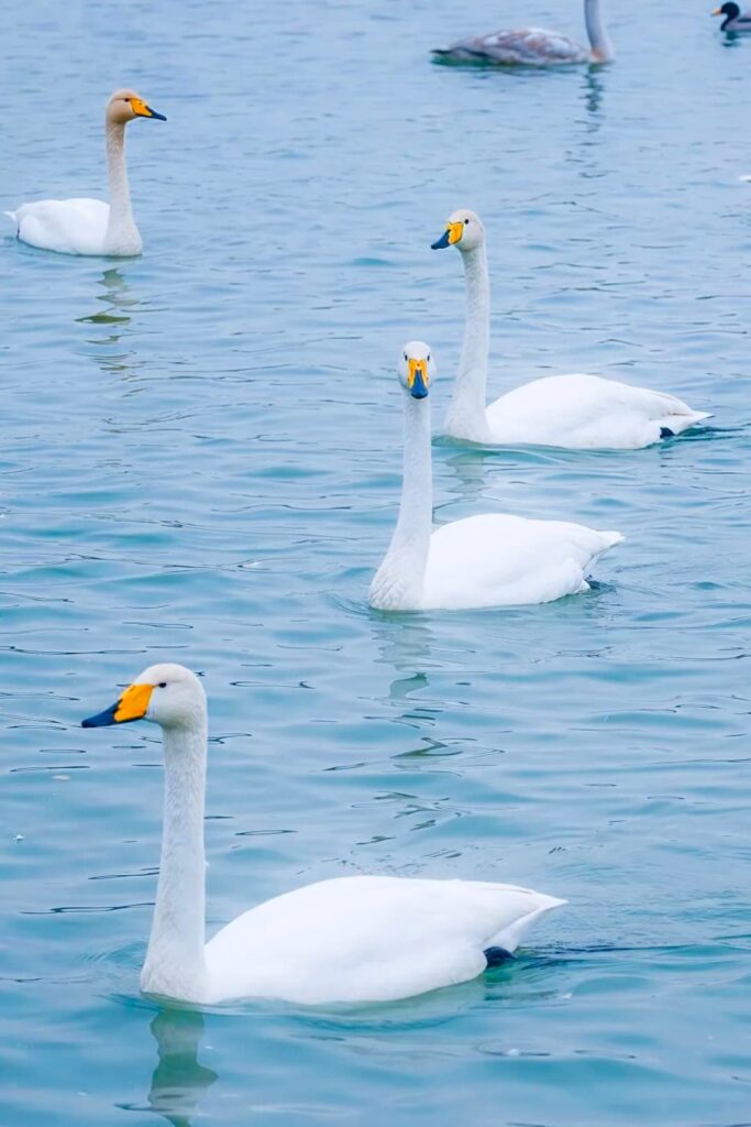 March 2026 Short Trips in Xinjiang