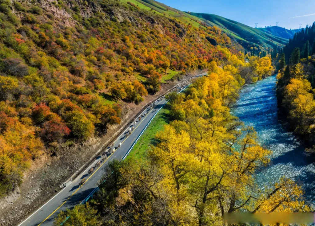 2026 Complete Transportation Guide to Kurdening (For International Travelers)