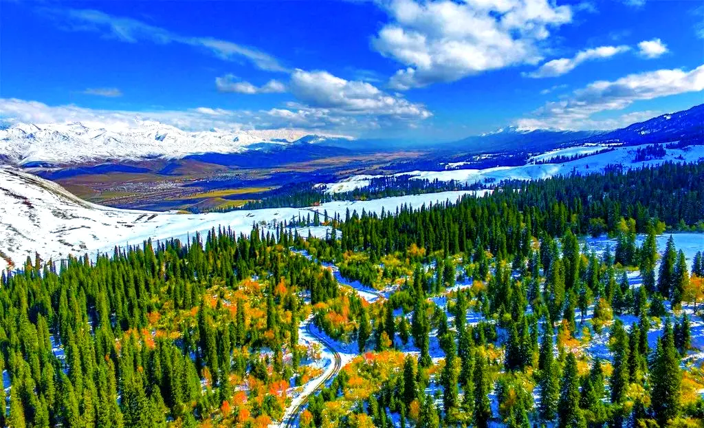 Best Time to Visit Narat Grassland, Xinjiang in 2026