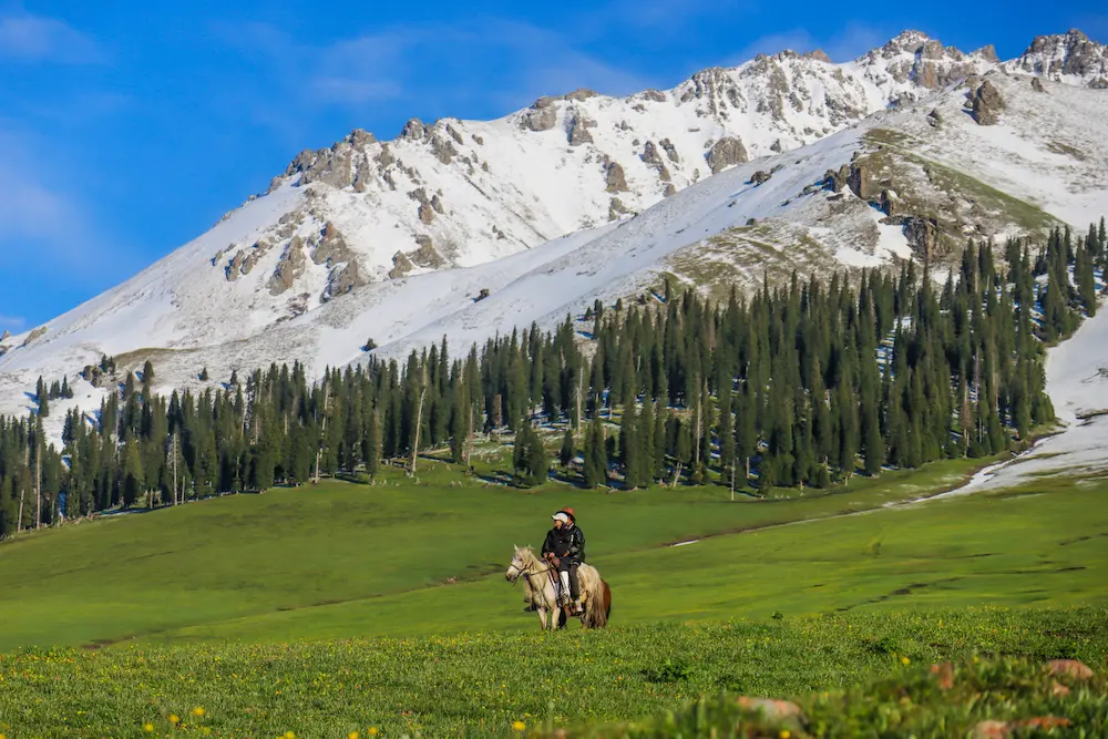 2026 Summer Travel Guide to Yili, Xinjiang