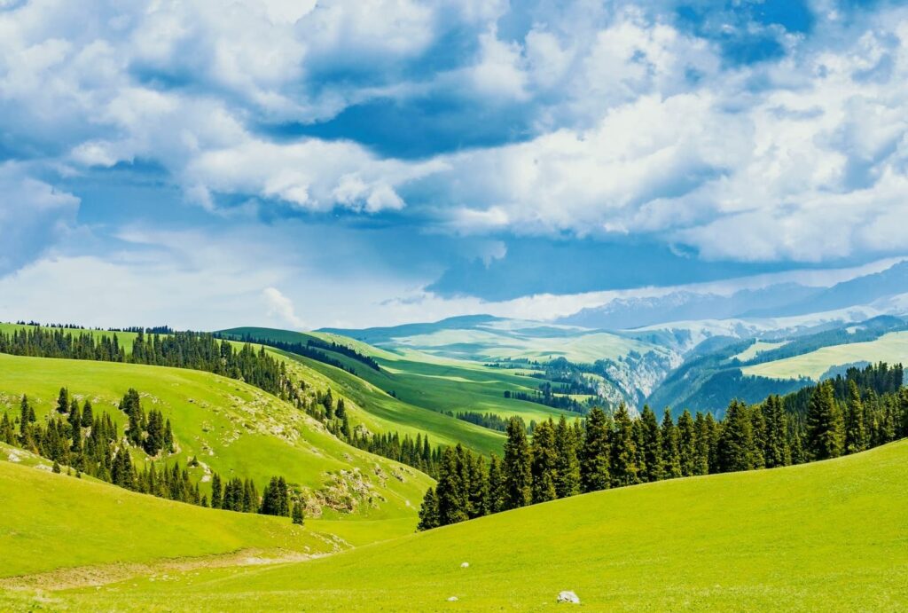 2026 Summer Travel Guide to Yili, Xinjiang 