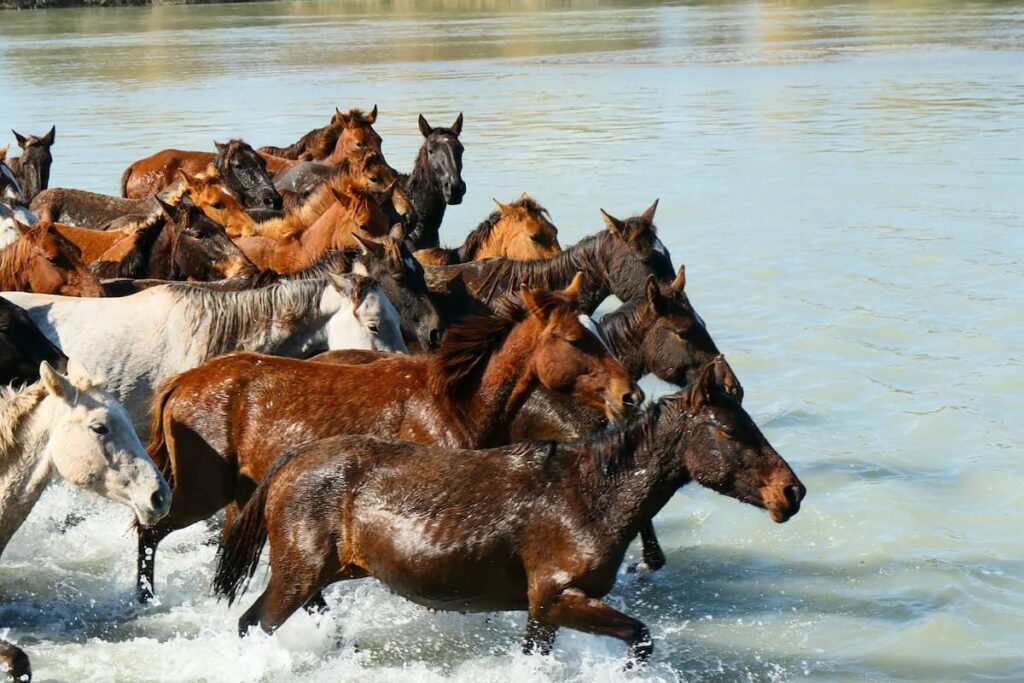self-drive in Xinjiang