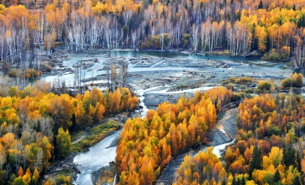 2026 Travel Guide for Foreign Visitors to Altay, Northern Xinjiang