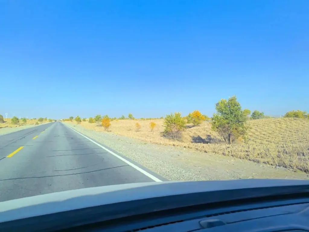 Self-Drive Guide to Xinjiang’s Ahe Highways