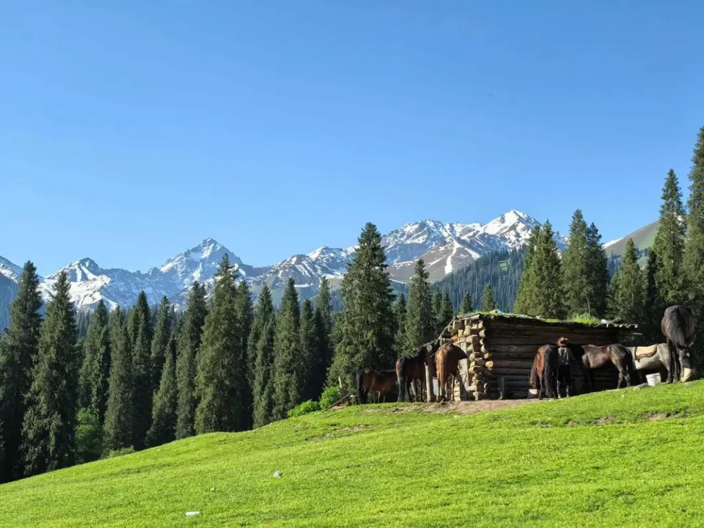 2026 travel guide to Kurdening