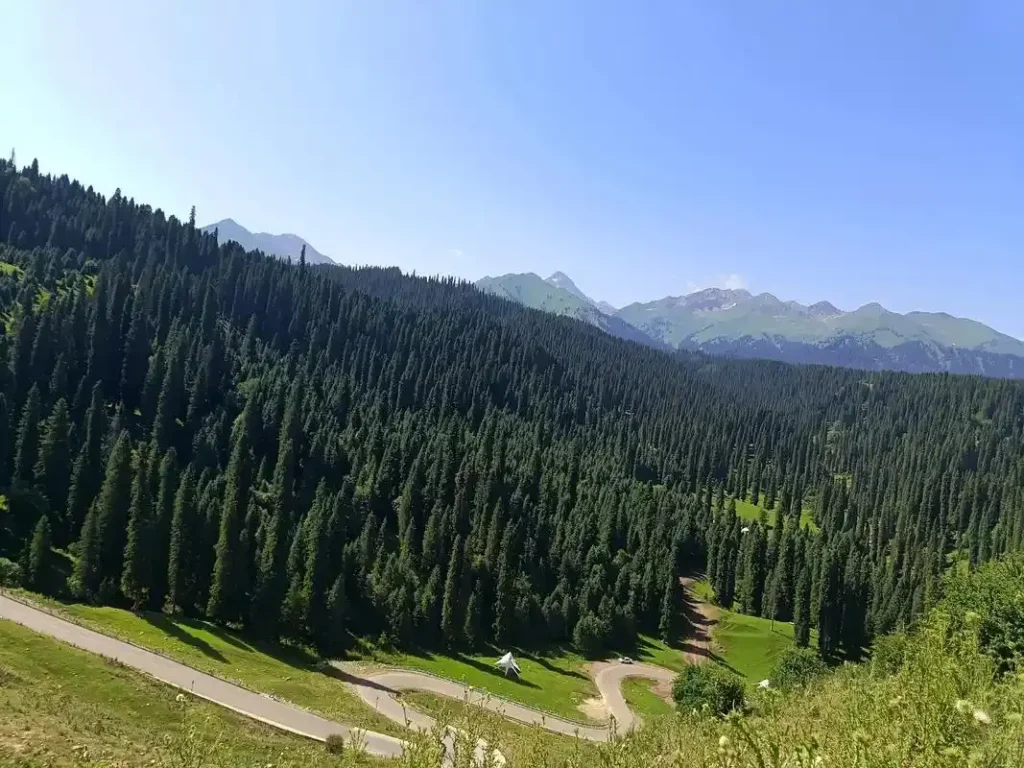 Why 2026 Is the Best Time to Explore Kurdening