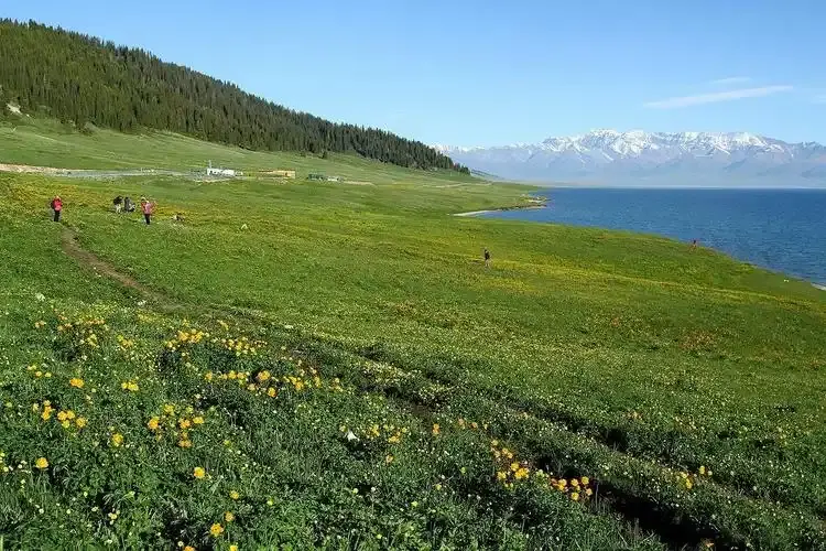 2026 Northern Xinjiang Pastoral Ballad