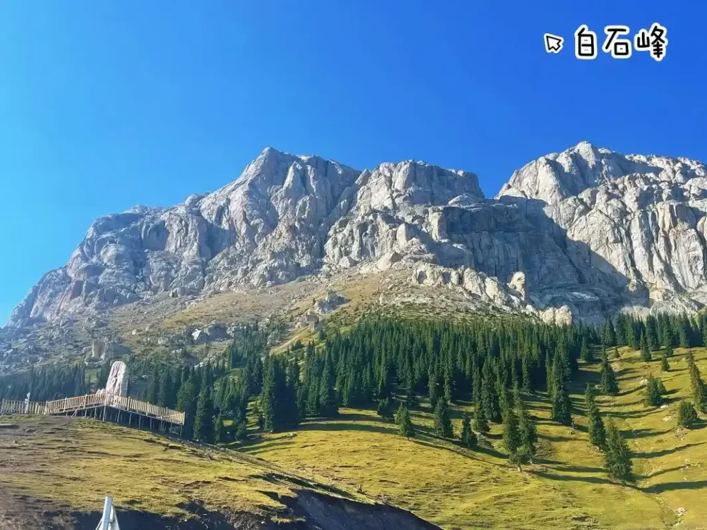 2026 Ultimate Guide to Yizhao Highway Self-Drive in Xinjiang, China