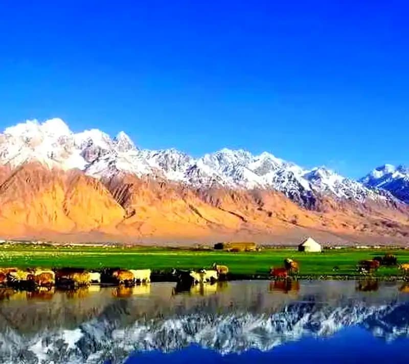 Why Visit Xinjiang in 2026?