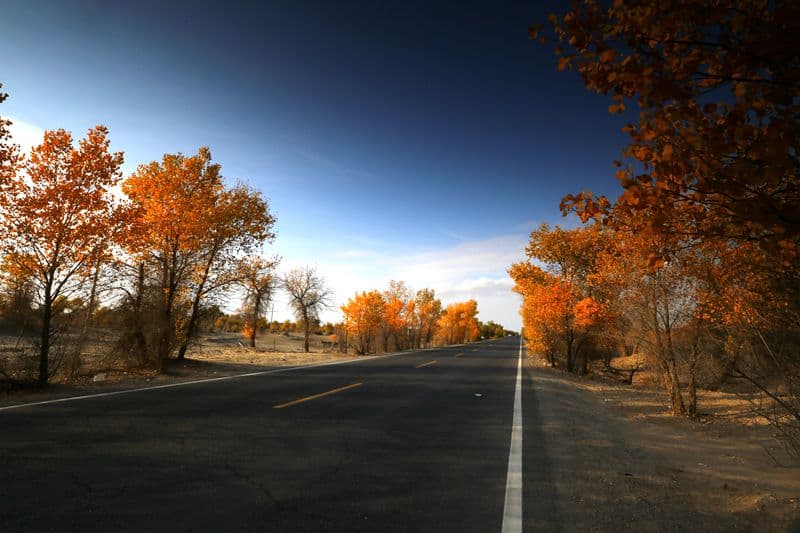 desert highway self-driving