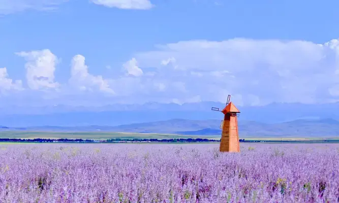 Why Choose a Xinjiang Travel Agency?
