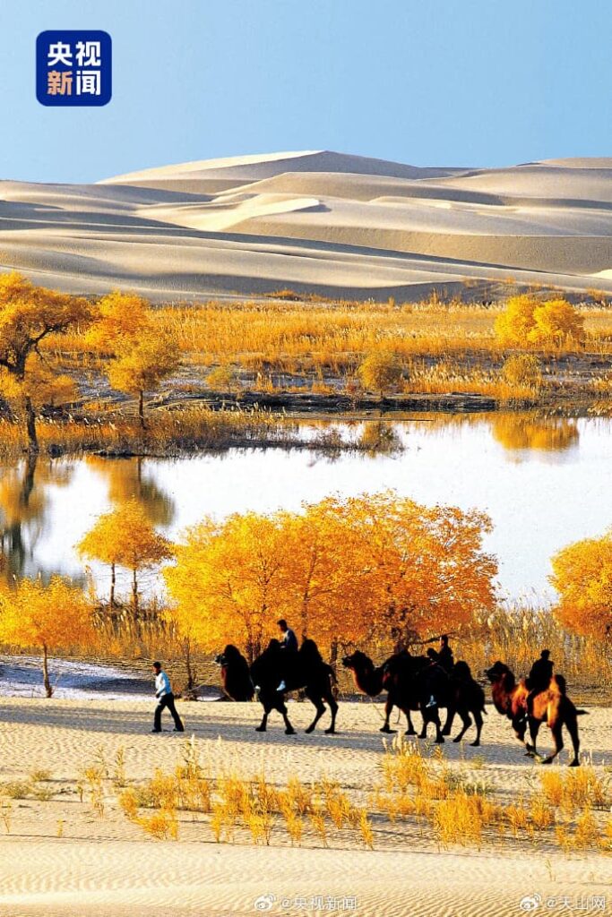 Xinjiang Tour Package 2026