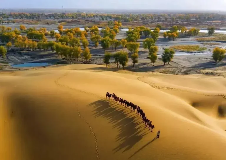 2026 Ultimate Travel Guide to Southern Xinjiang for Foreign Visitors