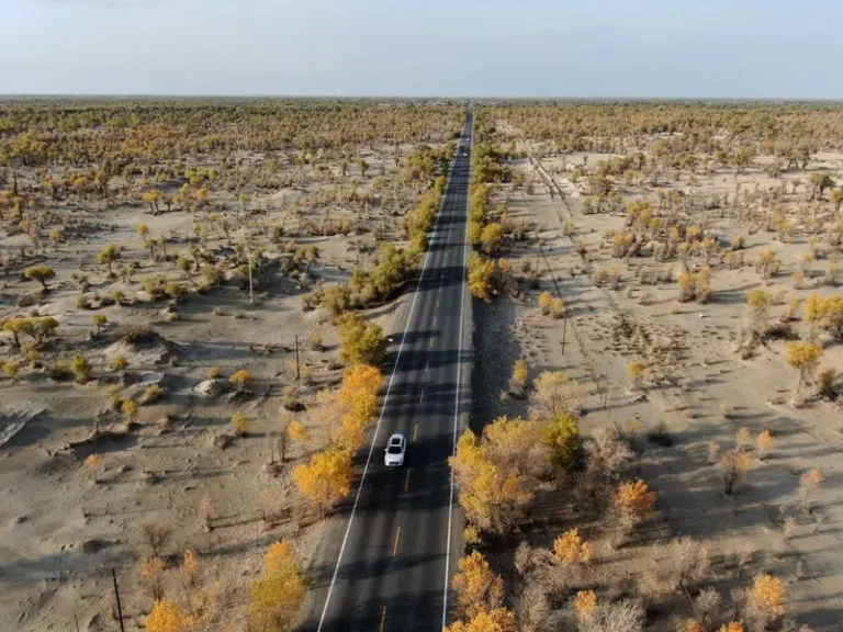 2026 Ultimate Self-Driving Guide for Foreign Travelers on Xinjiang’s Desert Highway