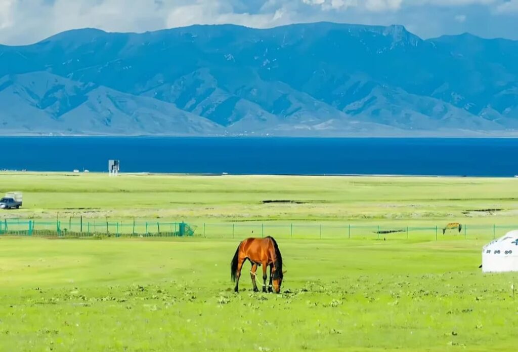 Is Xinjiang Safe for Tourists in 2026?