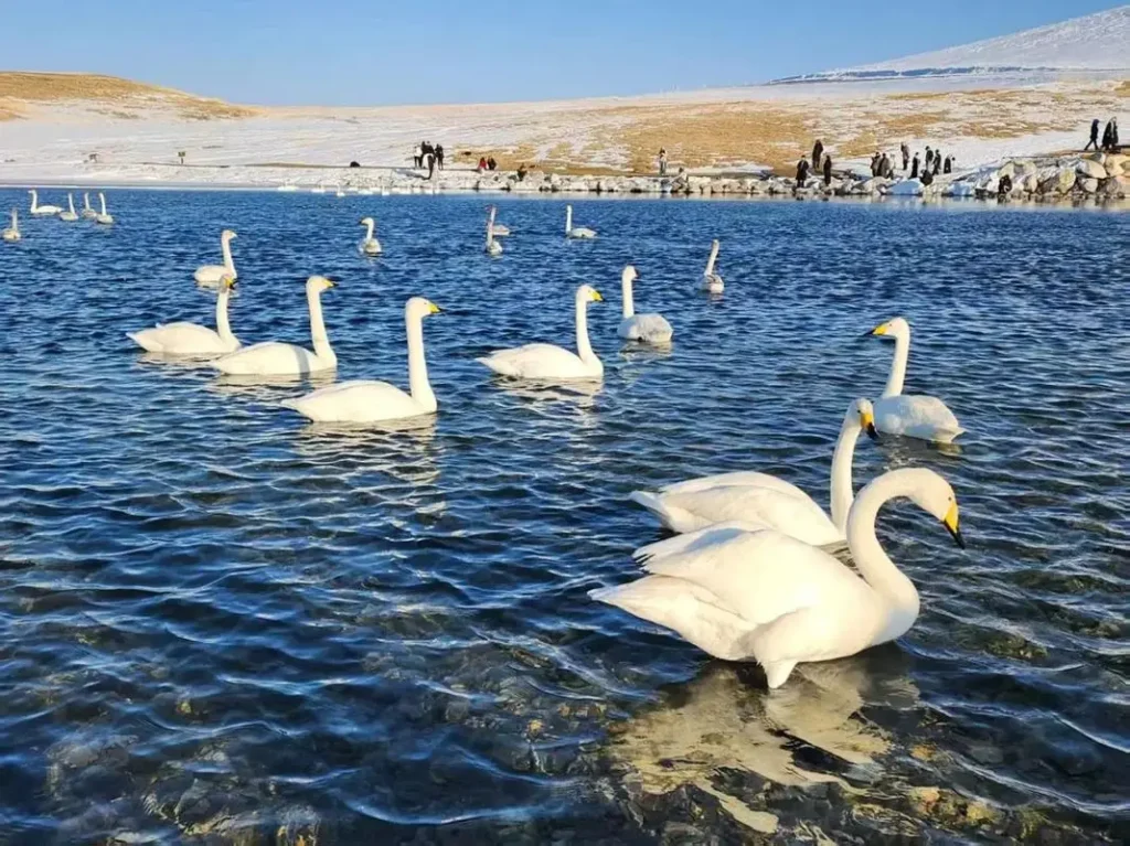 2026 Xinjiang Travel Itinerary Guide for Foreign Visitors