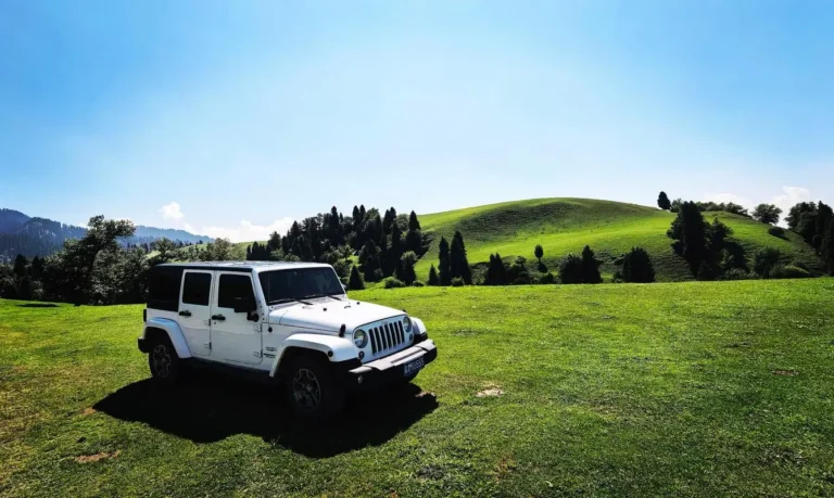 2026 Official Guidelines for Foreigners Self-Driving in Xinjiang