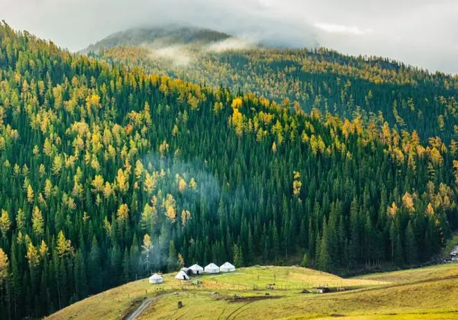 Xinjiang Travel Guide 2026