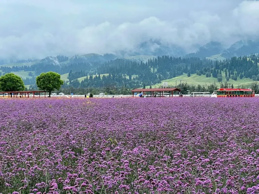 Xinjiang Tourism Places
