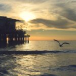 Xinjiang Xinjiang fruits 01 2