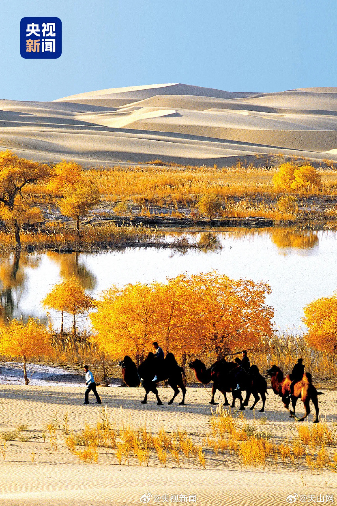 Ordering Food in Xinjiang: Uyghur & Mandarin Phrases for Travelers