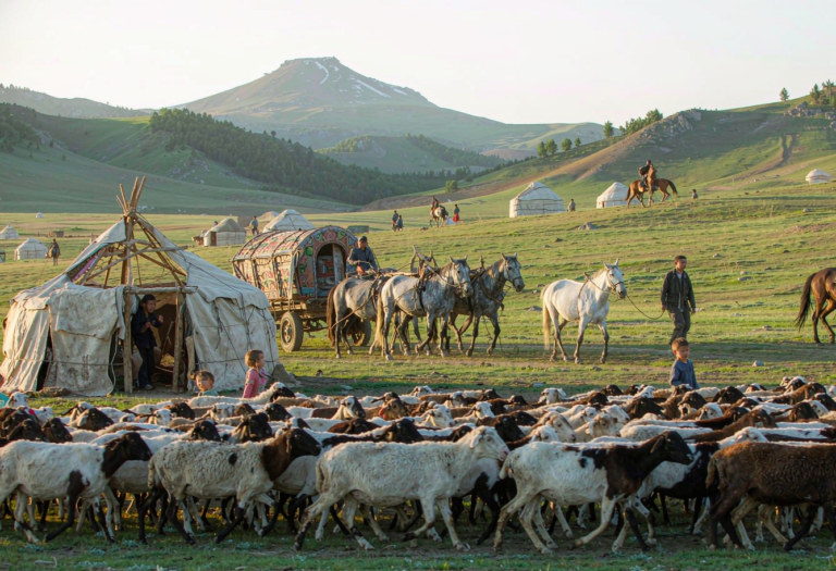 Following the Nomads: Xinjiang’s Seasonal Migration You Can Actually Witness