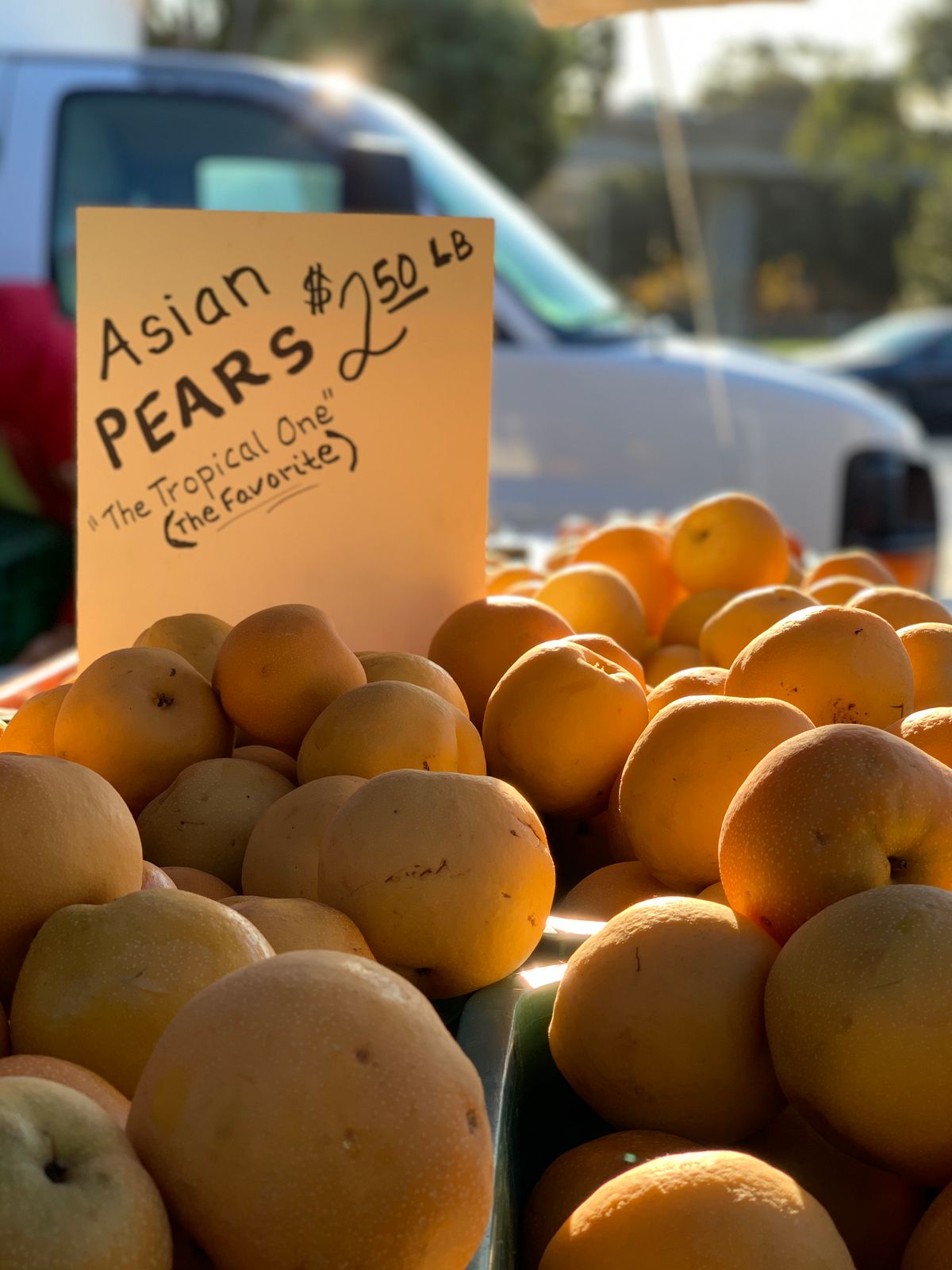 Fresh Asian pears displayed at a farmers market stall